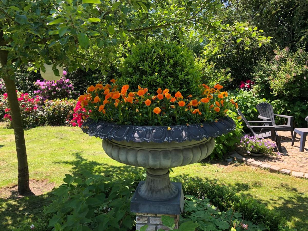 Bed and Breakfast Sloapmuts Oud-Ootmarsum Esterno foto