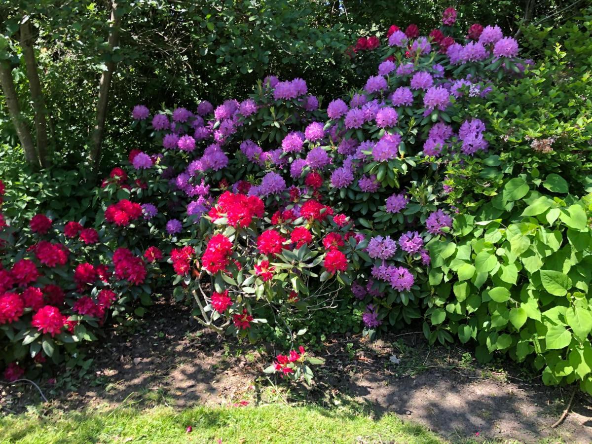 Bed and Breakfast Sloapmuts Oud-Ootmarsum Esterno foto
